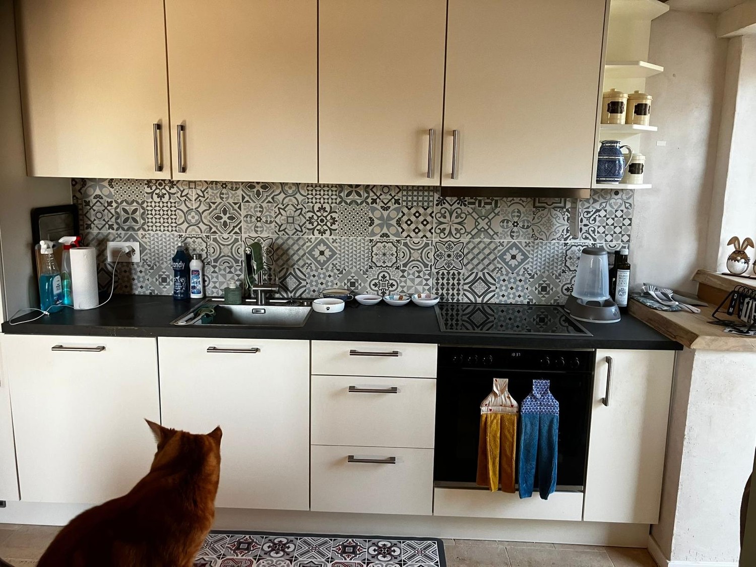 3 ½ rooms apartment, photo 1 sur 6