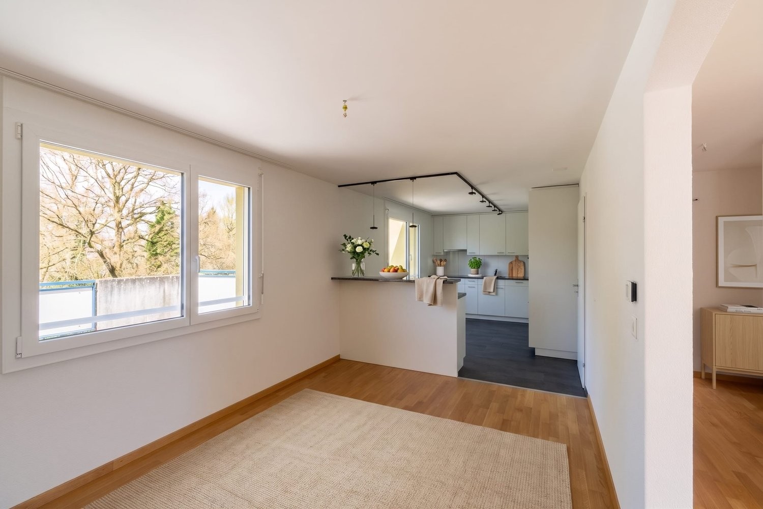 Appartement de 4 ½ pièces