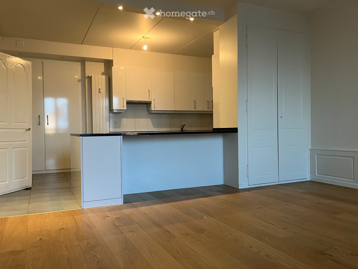 4 ½ rooms apartment