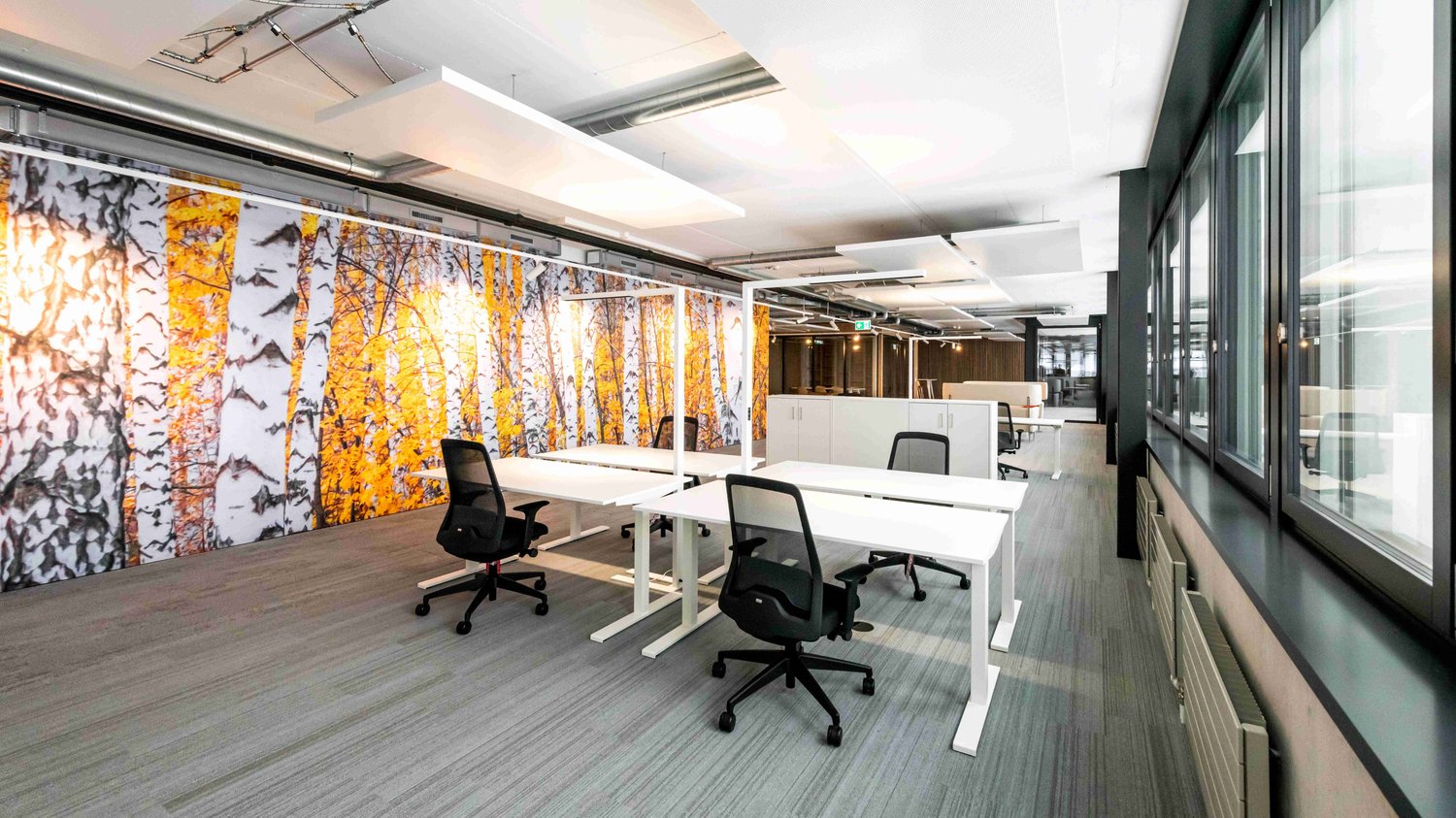 4500m² bureau, photo 5 sur 10
