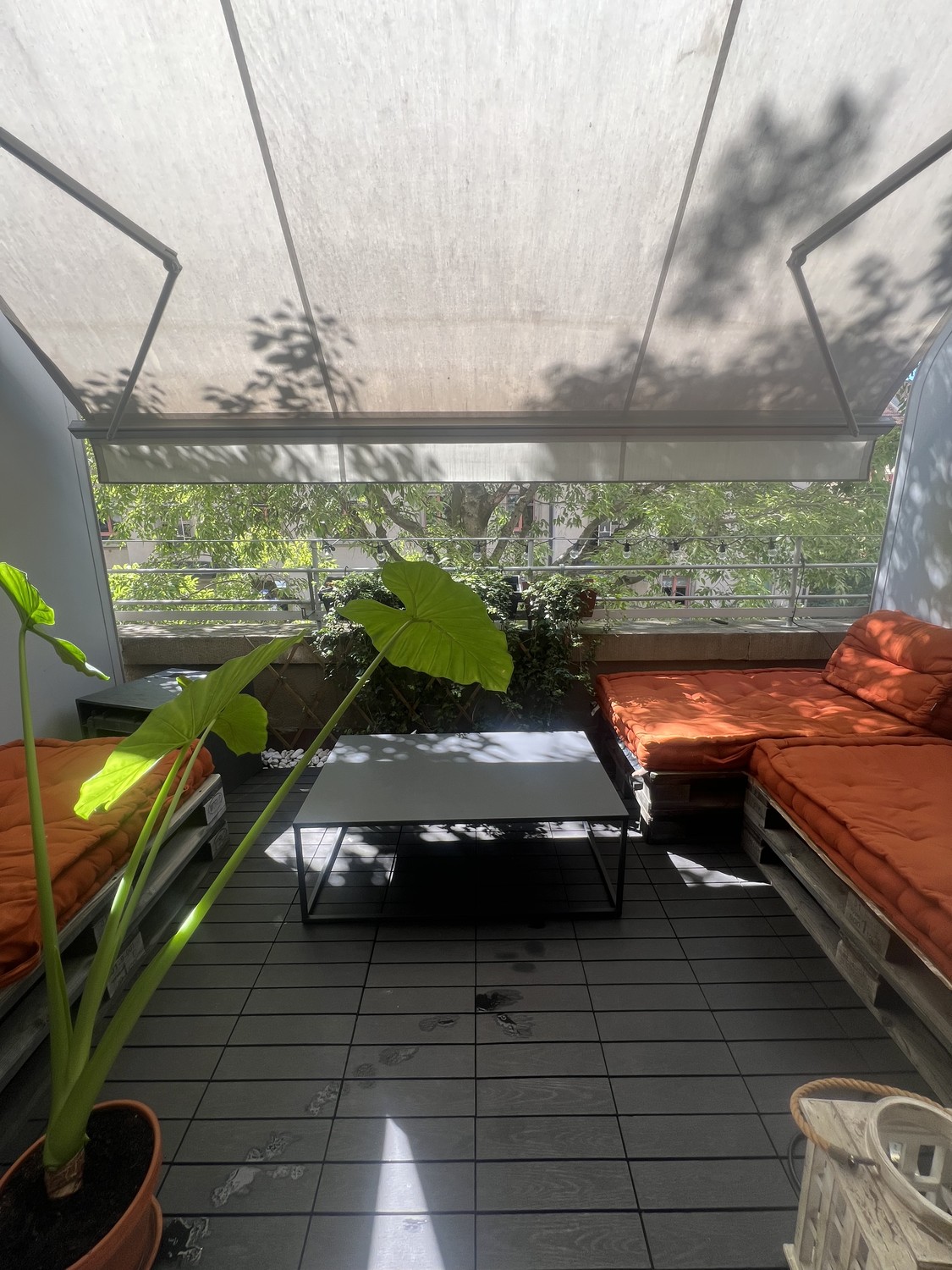 2 ½ rooms apartment, photo 9 sur 9