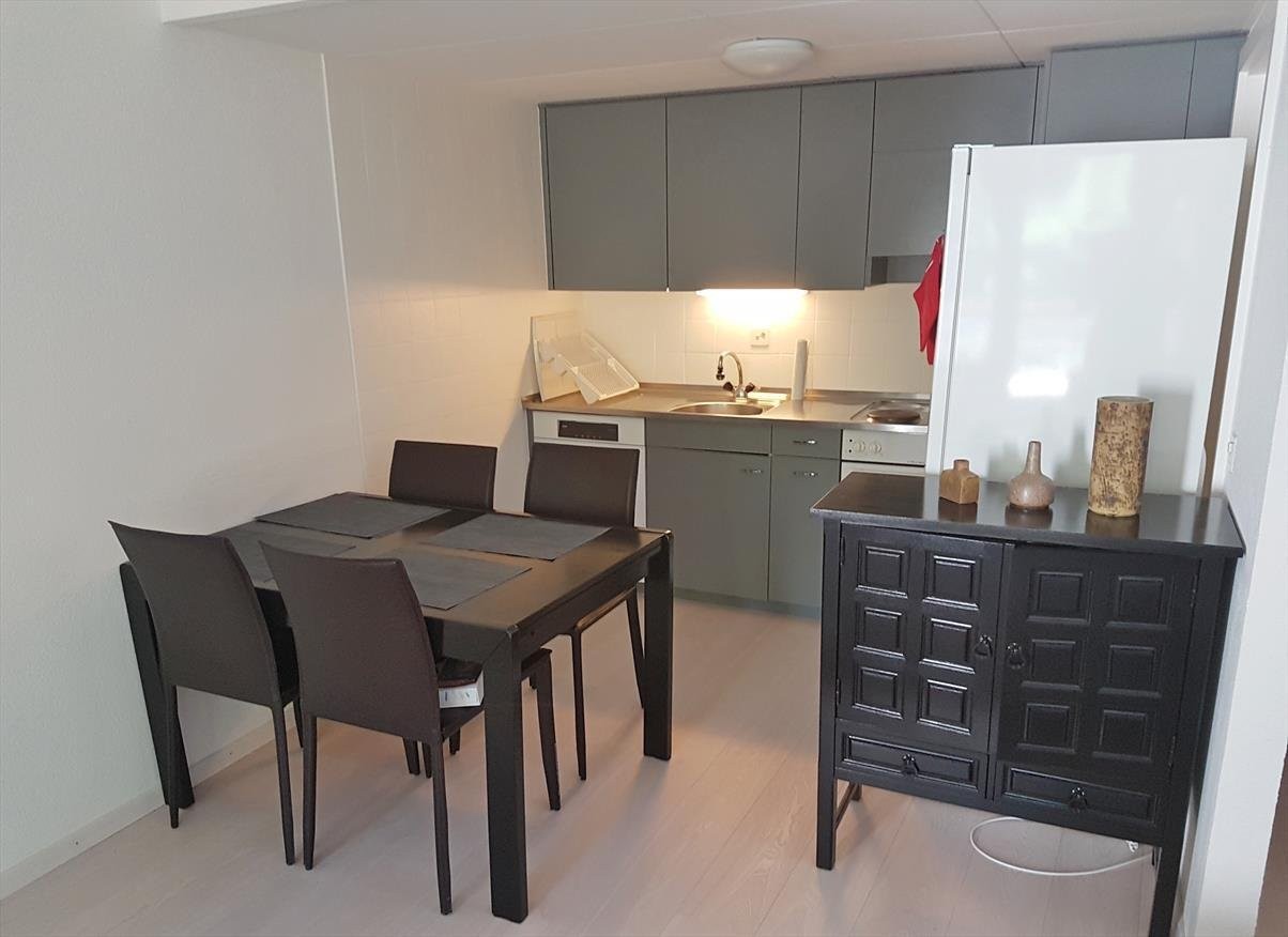 2 ½ Zimmer Wohnung