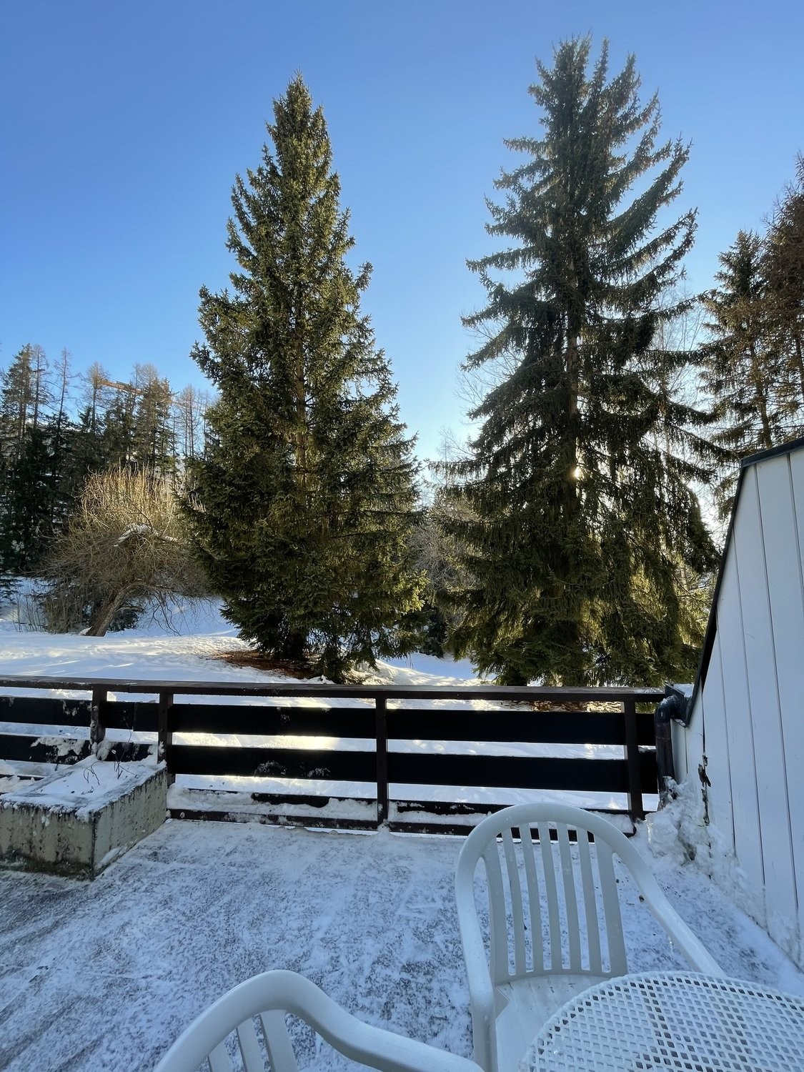 2 ½ Zimmer Wohnung