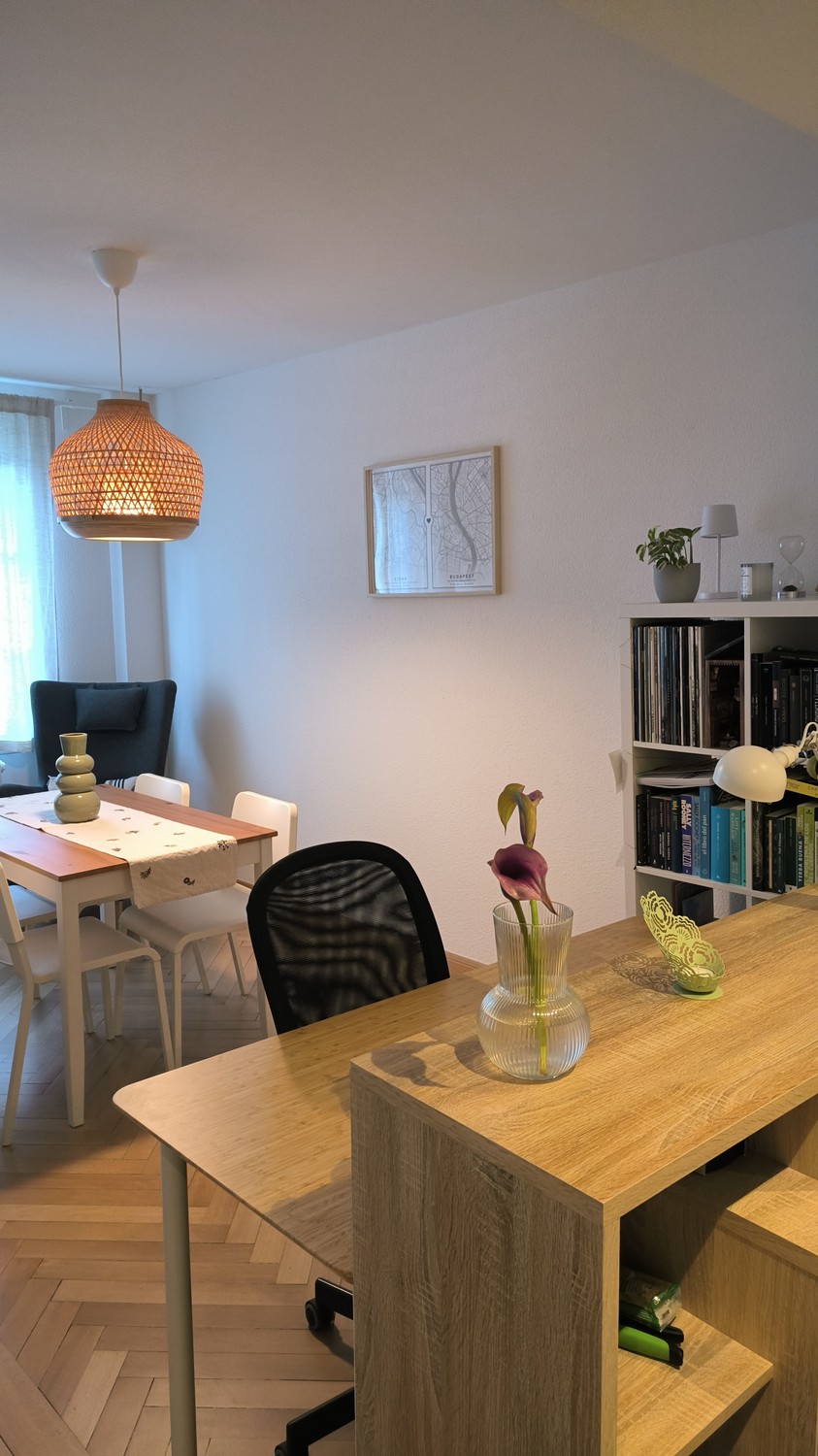 Appartement de 2 ½ pièces