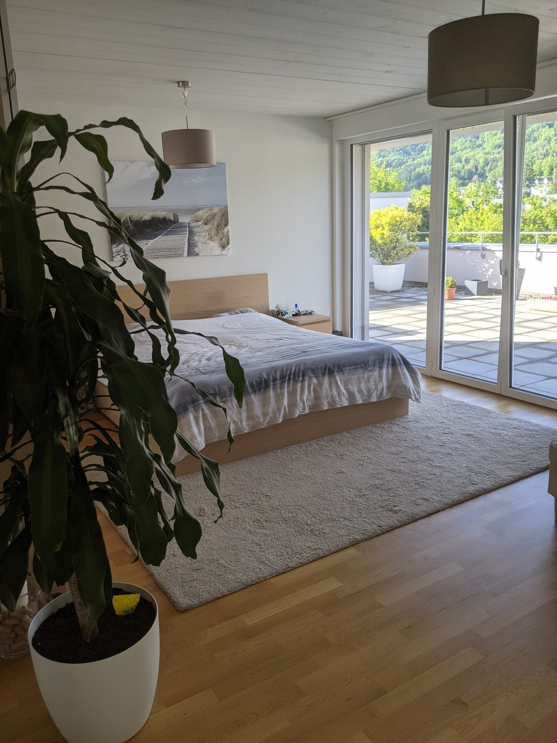 Appartement de 3 ½ pièces