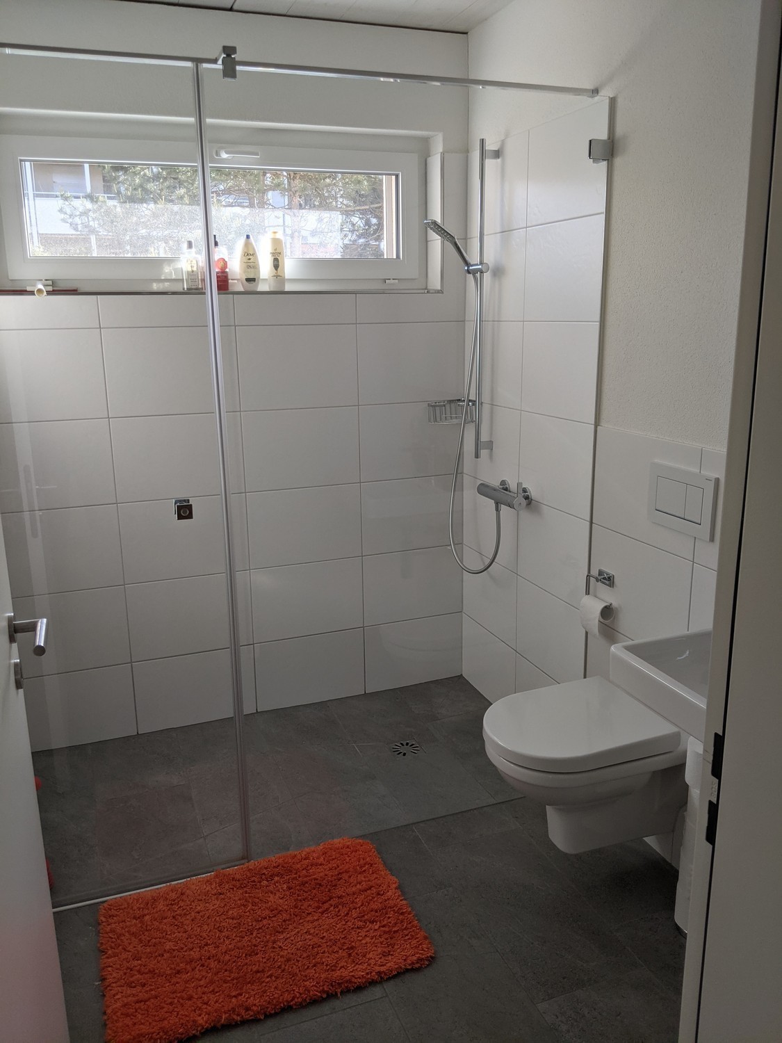 Appartement de 3 ½ pièces