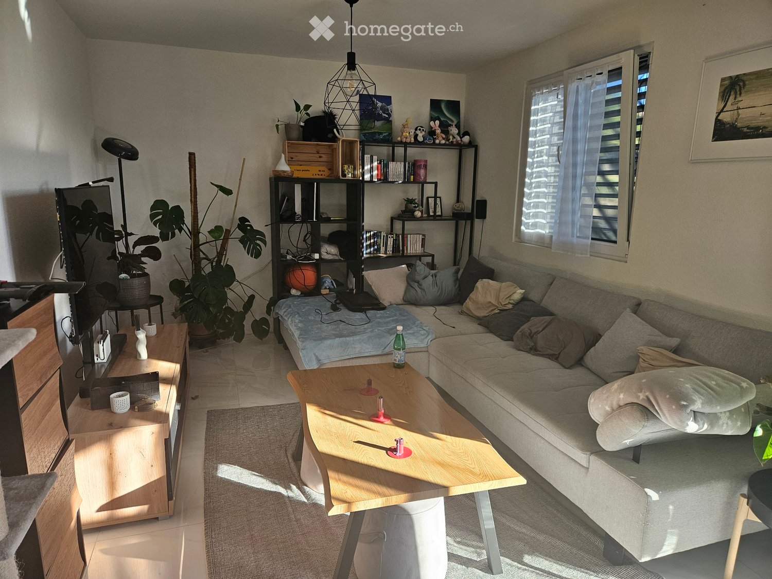 3 ½ rooms apartment, photo 4 sur 5