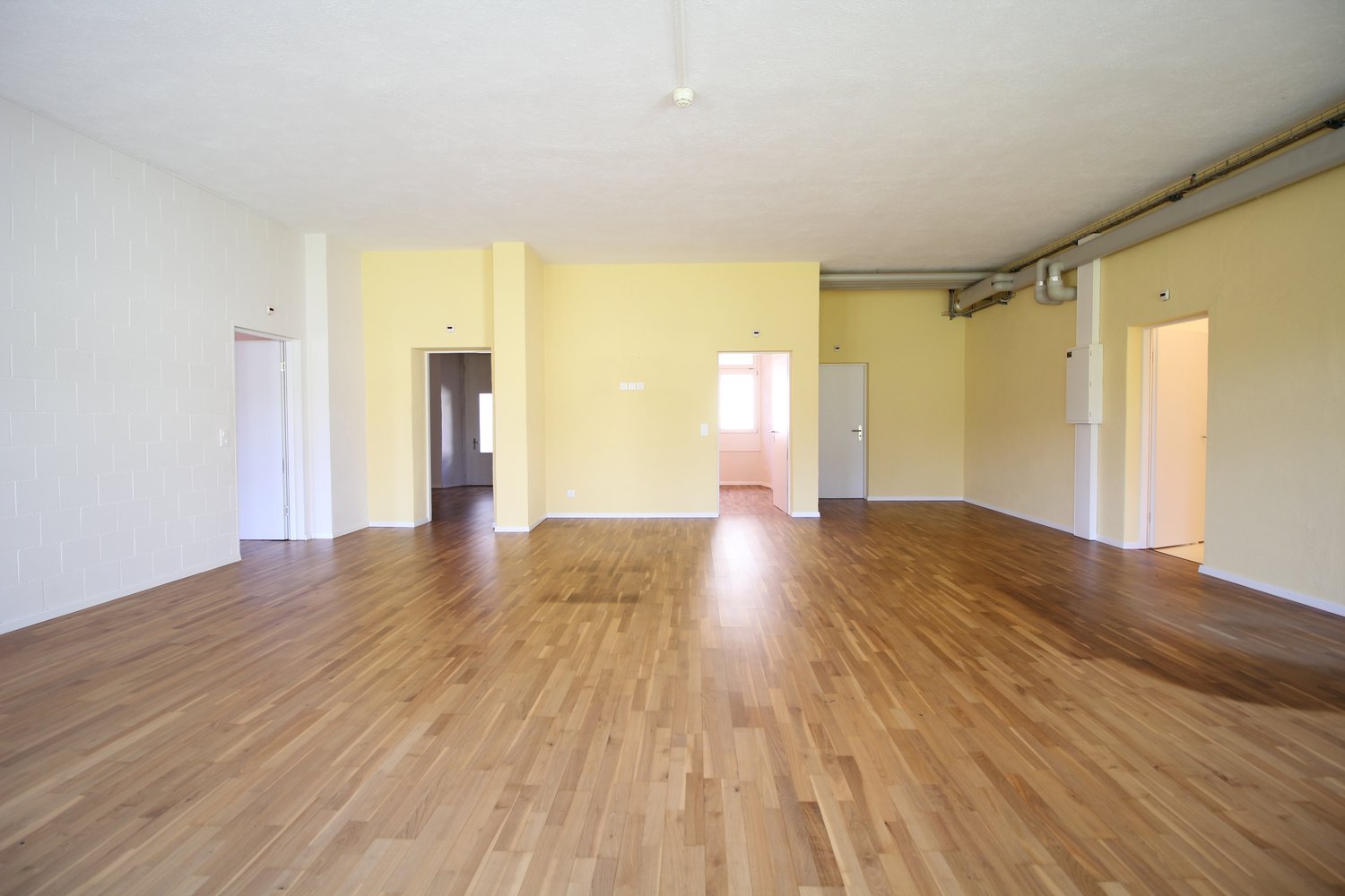 170m² office