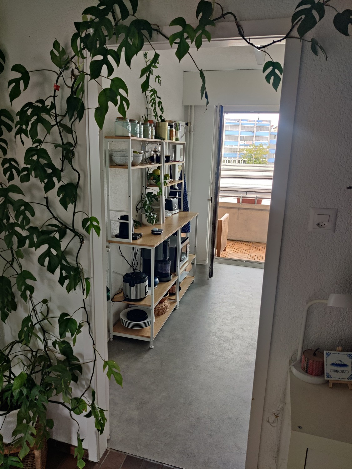 Appartement de 2 ½ pièces

Sous-location temporaire entièrement meublée de notre appartement chaleureux au centre d'Oerlikon :  
5min de l'Airport  
15min de l'ETH/UZH  
8min de HB  
Supermarchés à moins de 100m  
  
Vous devez être ordonné, responsable et avoir la main verte. L'appartement est disp, photo 5 sur 9