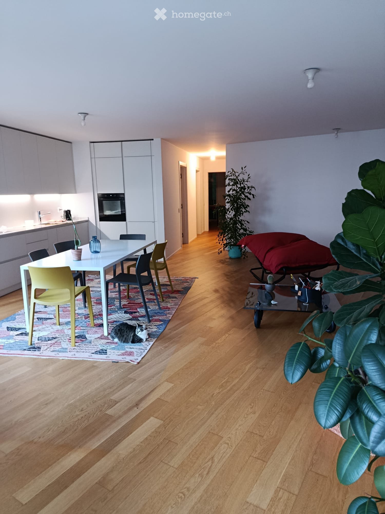 Appartement de 3 ½ pièces, photo 1 sur 5