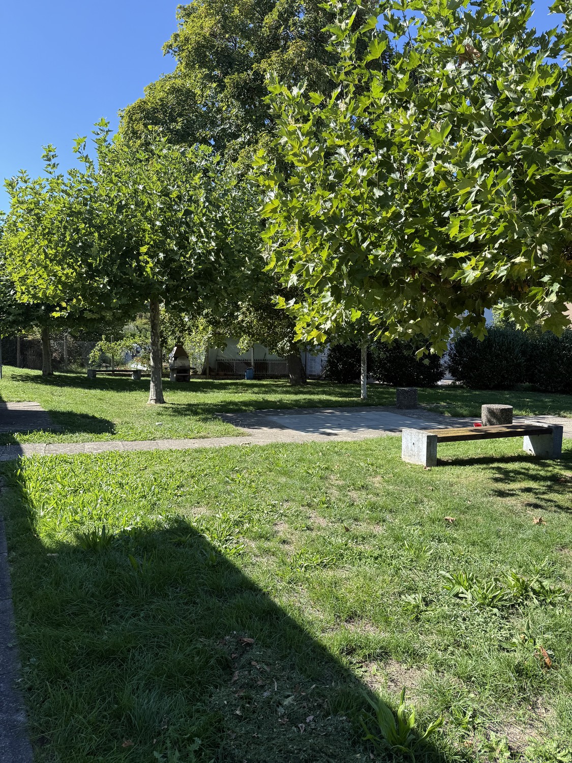 appartamento di 1 ½ locali