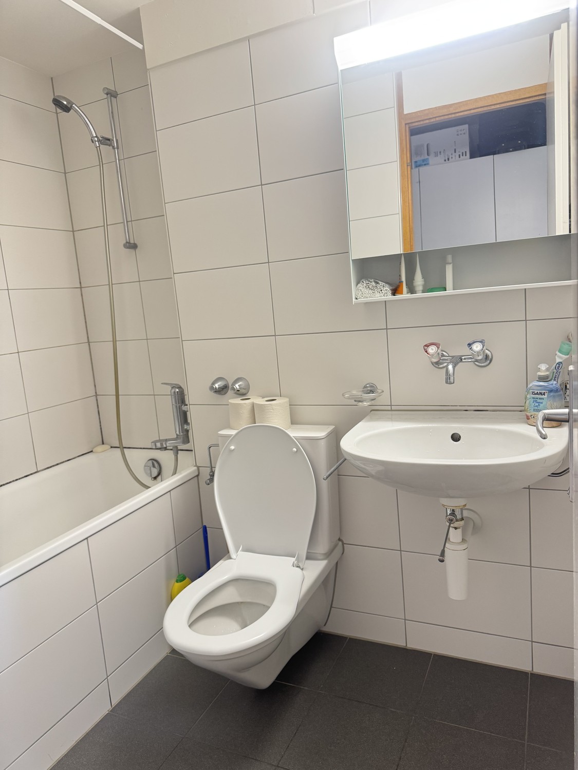 Appartement de 3 ½ pièces