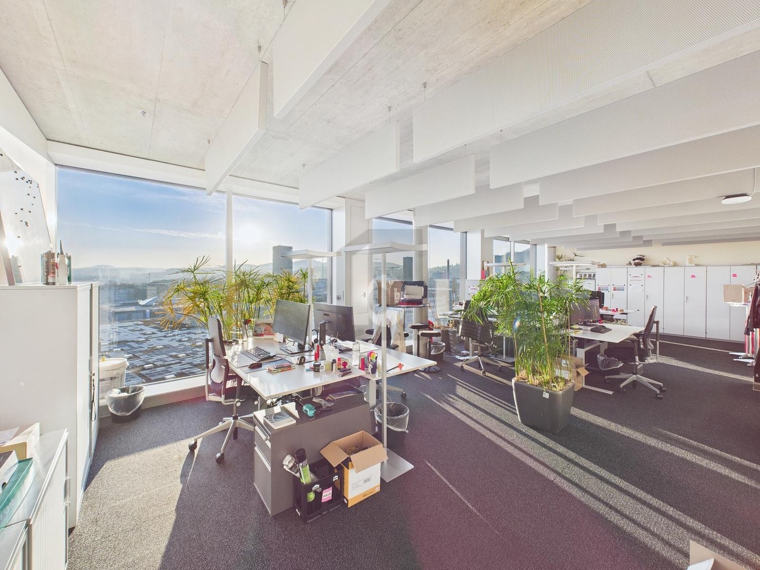 334m² bureau