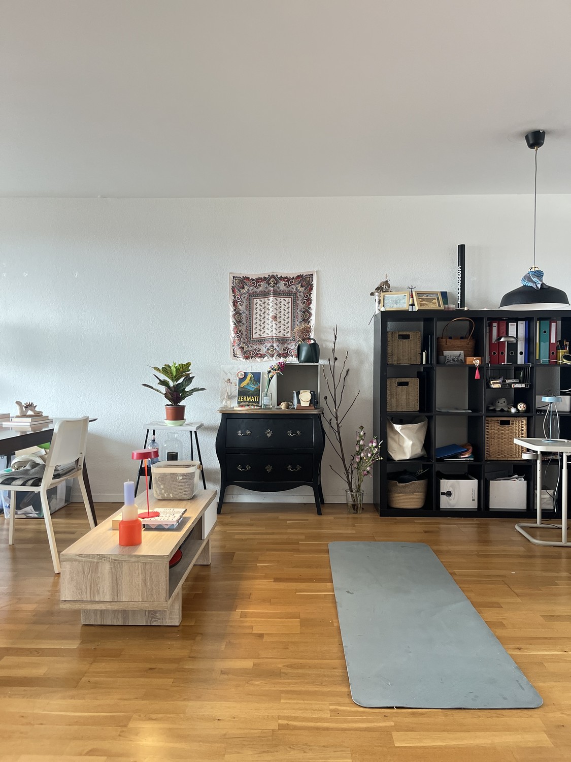 Appartement de 3 ½ pièces