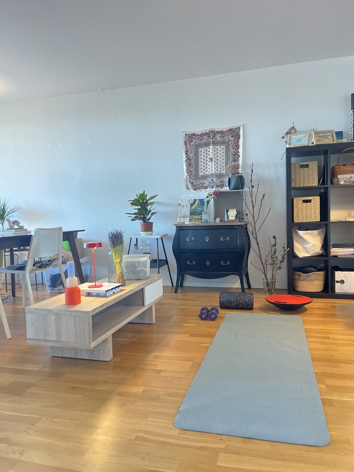 Appartement de 3 ½ pièces