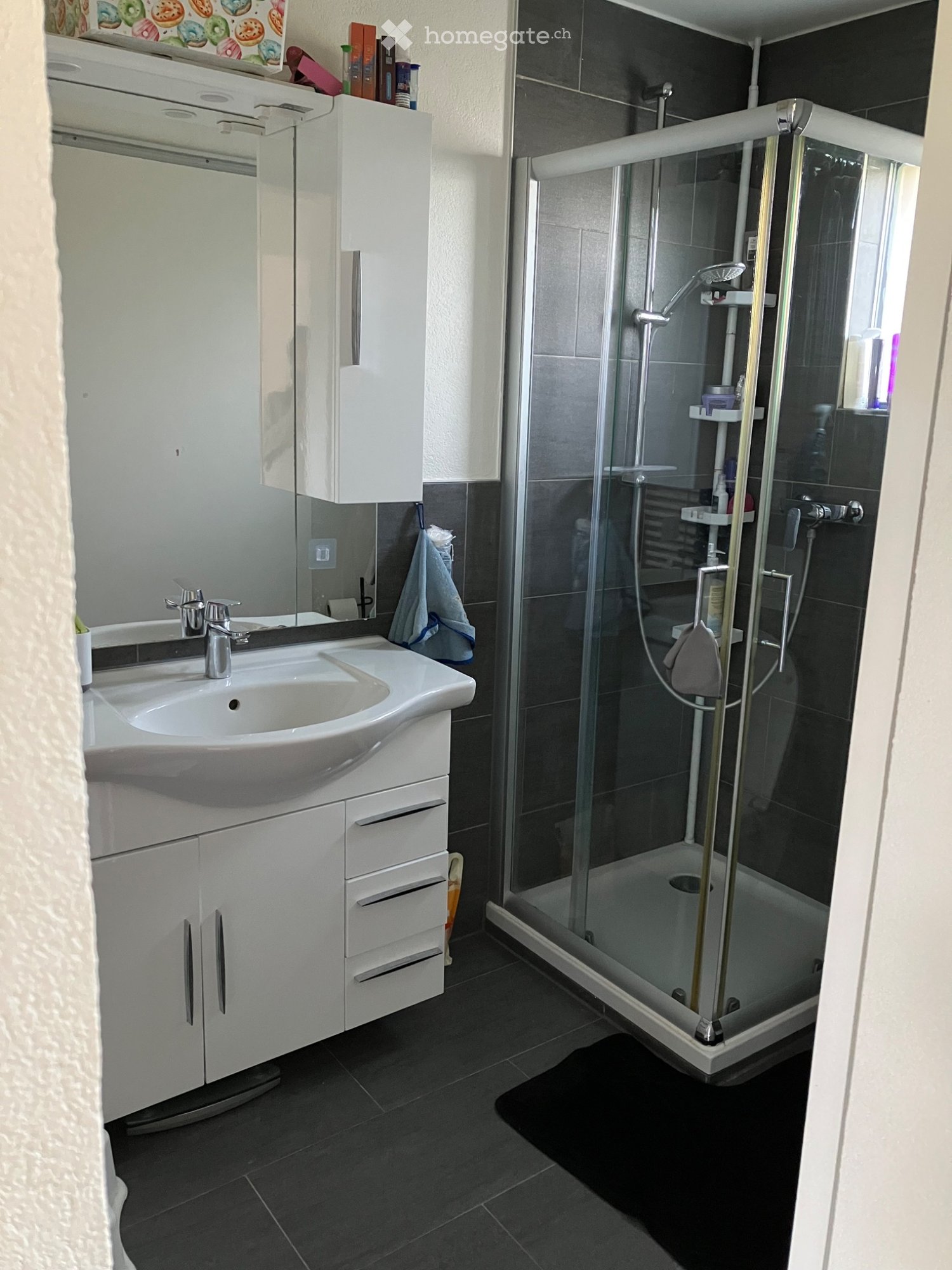 2 ½ rooms apartment, photo 3 sur 5