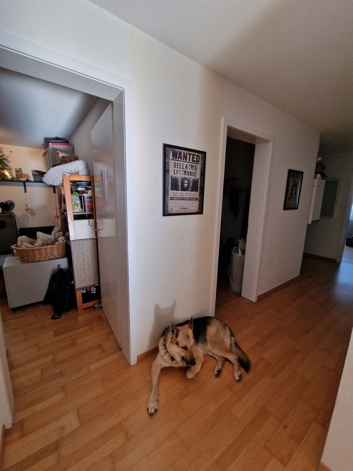 Appartement de 3 ½ pièces, photo 6 sur 8