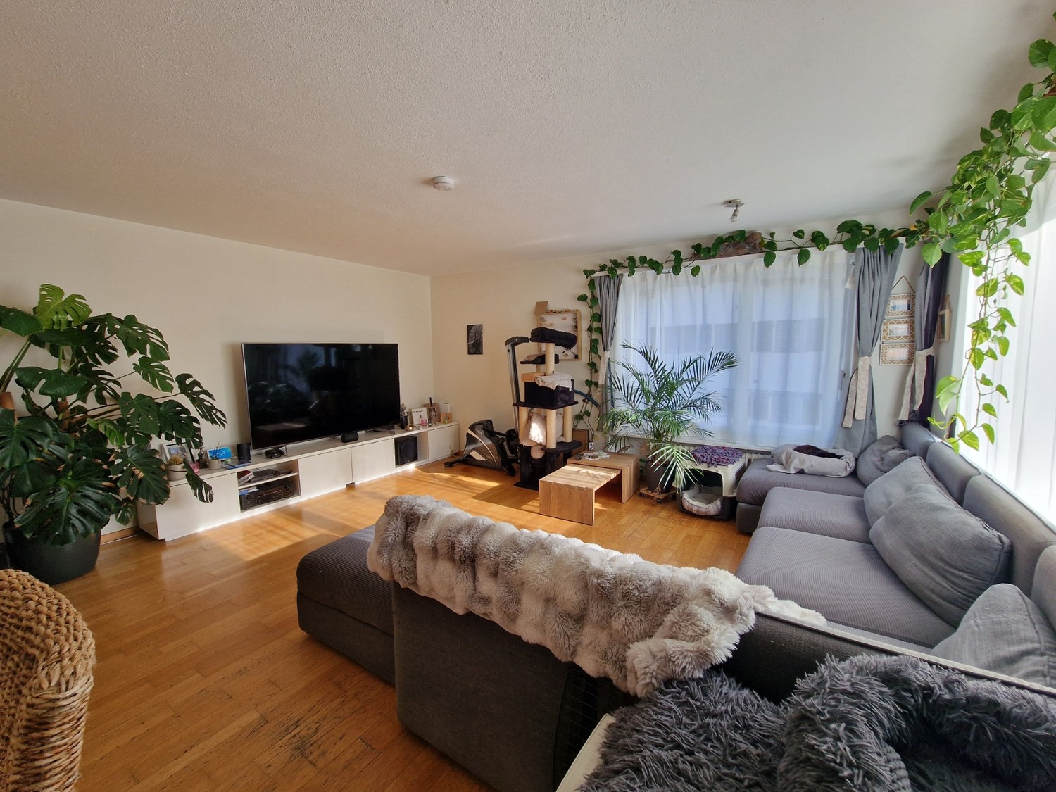 Appartement de 3 ½ pièces, photo 1 sur 8
