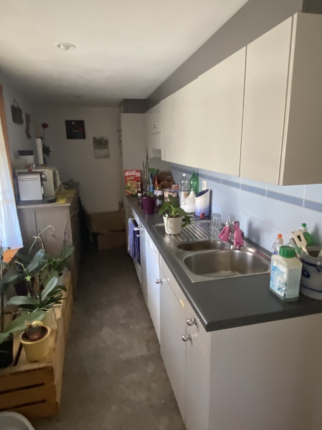 Appartement de 3 ½ pièces, photo 1 sur 2