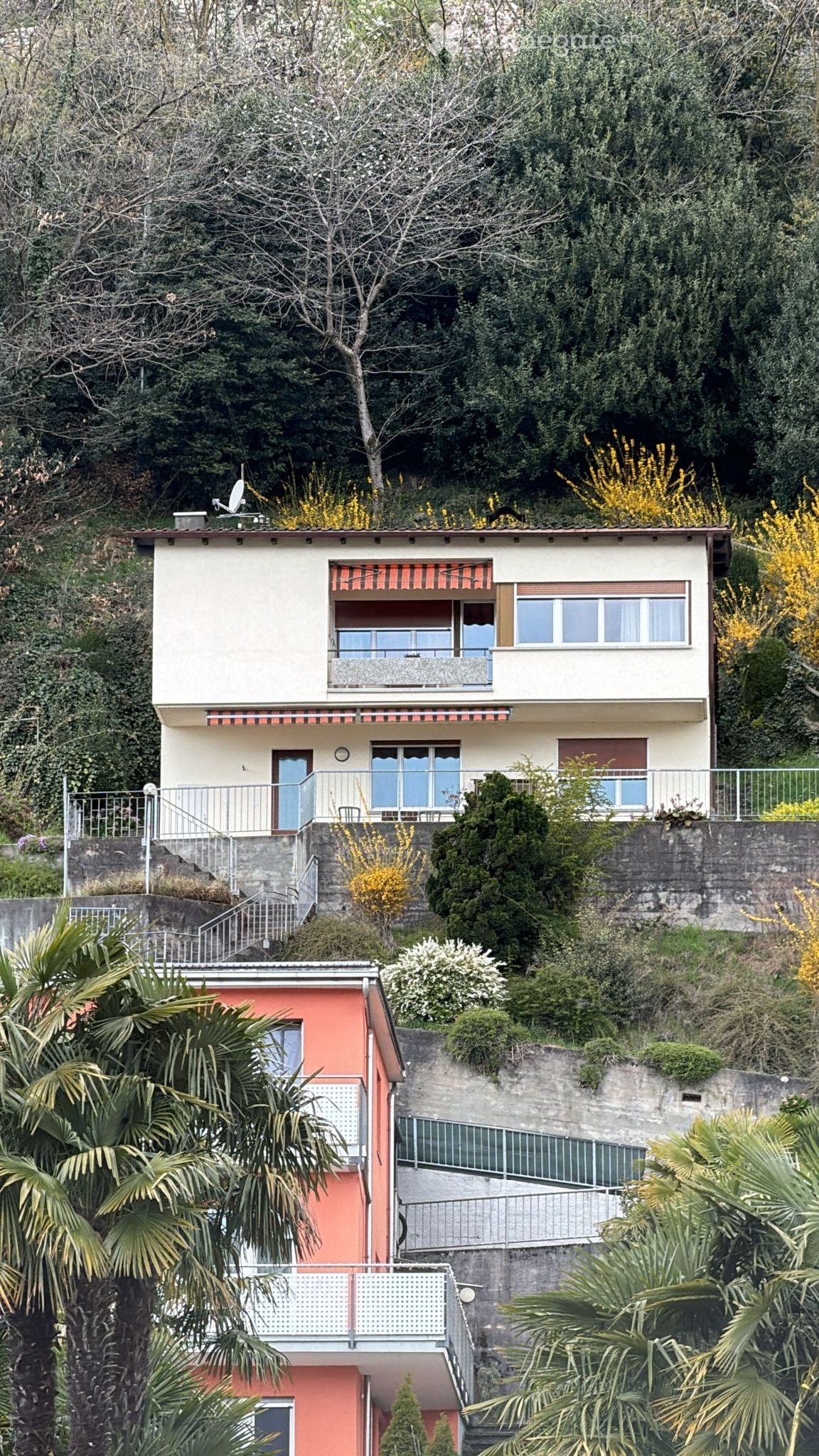 Appartement de 2 pièces, photo 2 sur 2