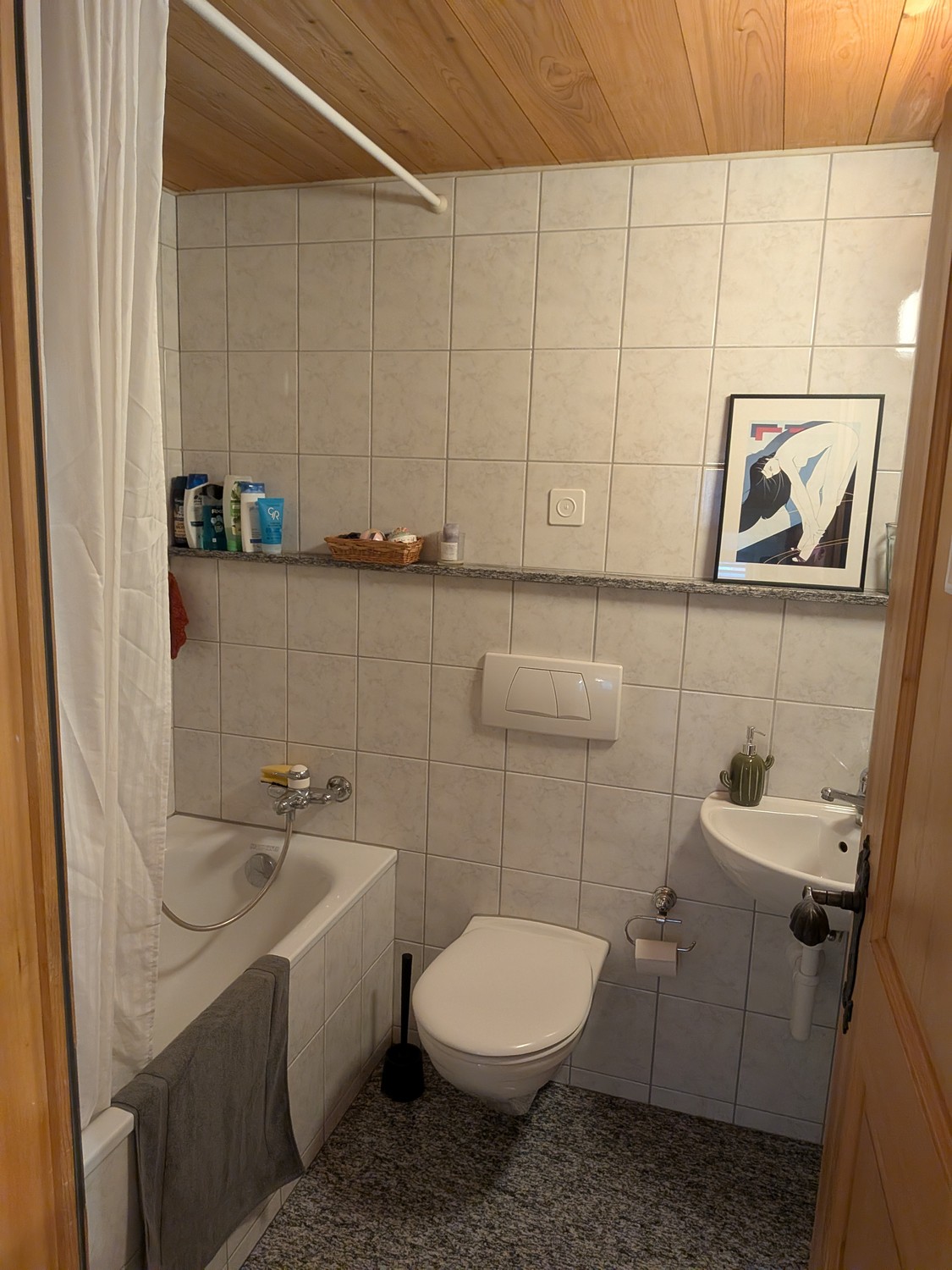 Appartement de 2 ½ pièces