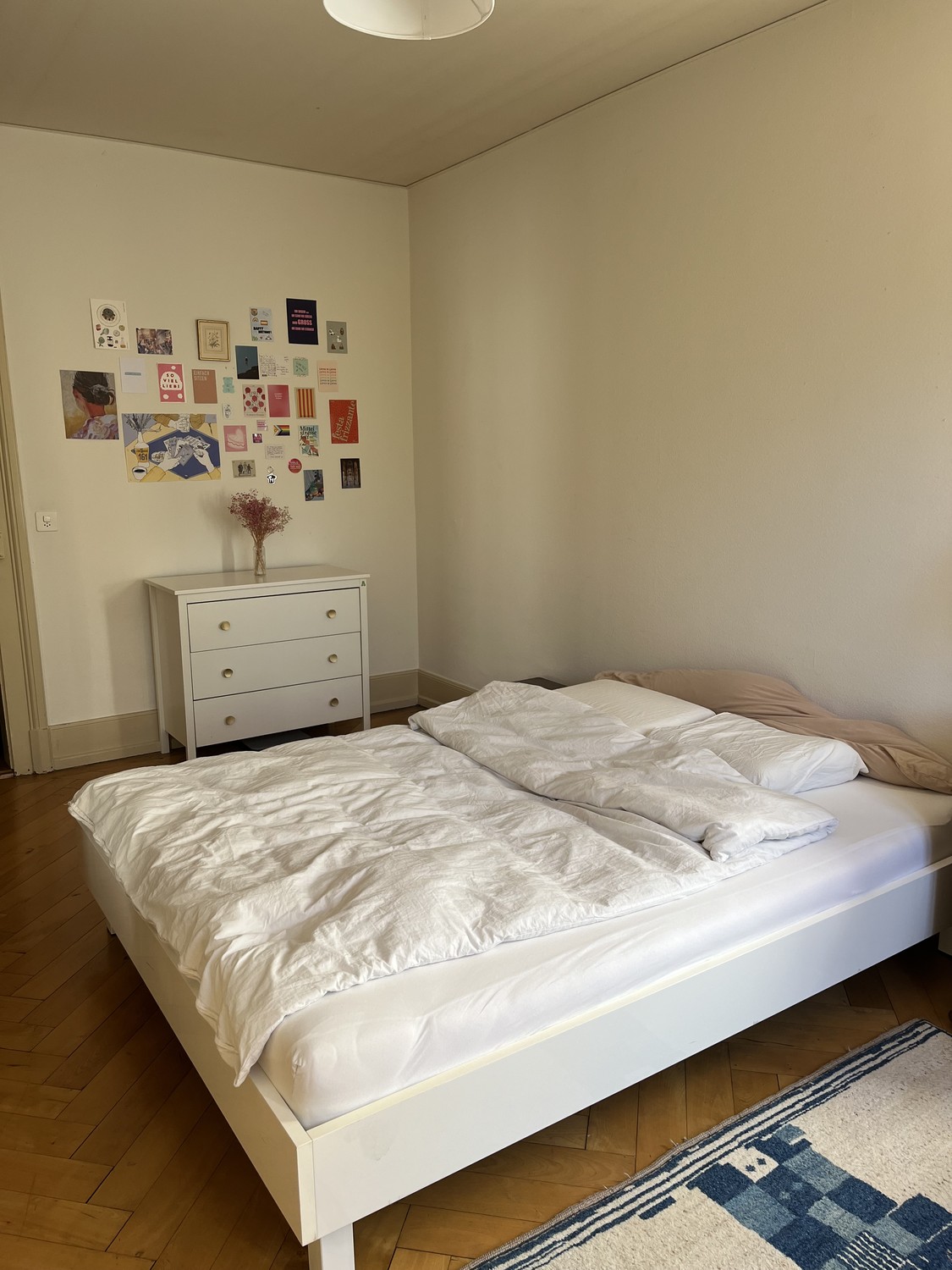 Room in a shared flat
