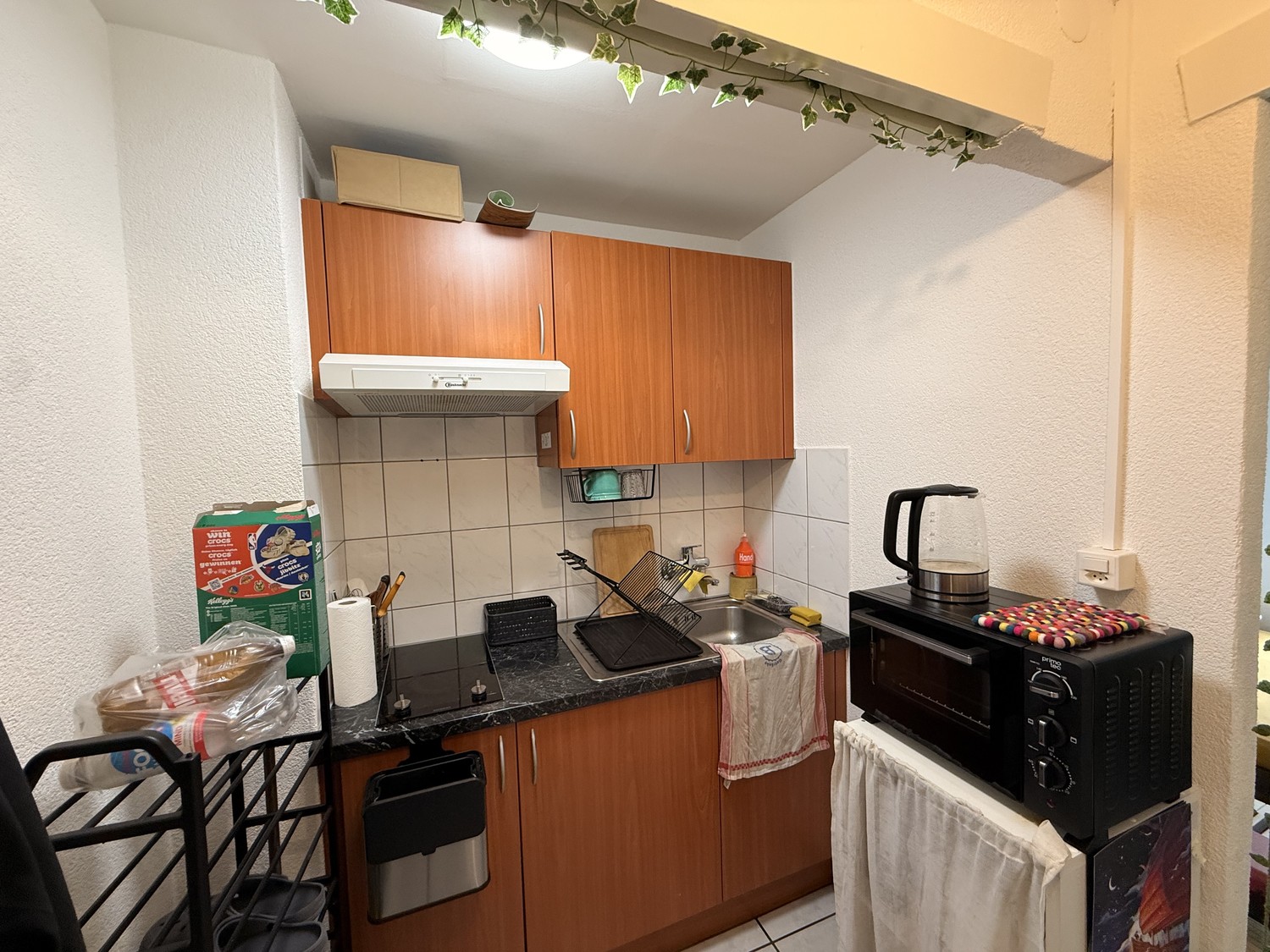 1 ½ Zimmer Wohnung