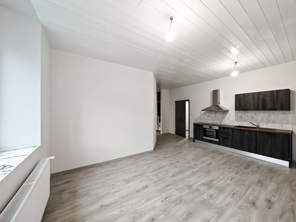 3 ½ rooms apartment, photo 4 sur 10
