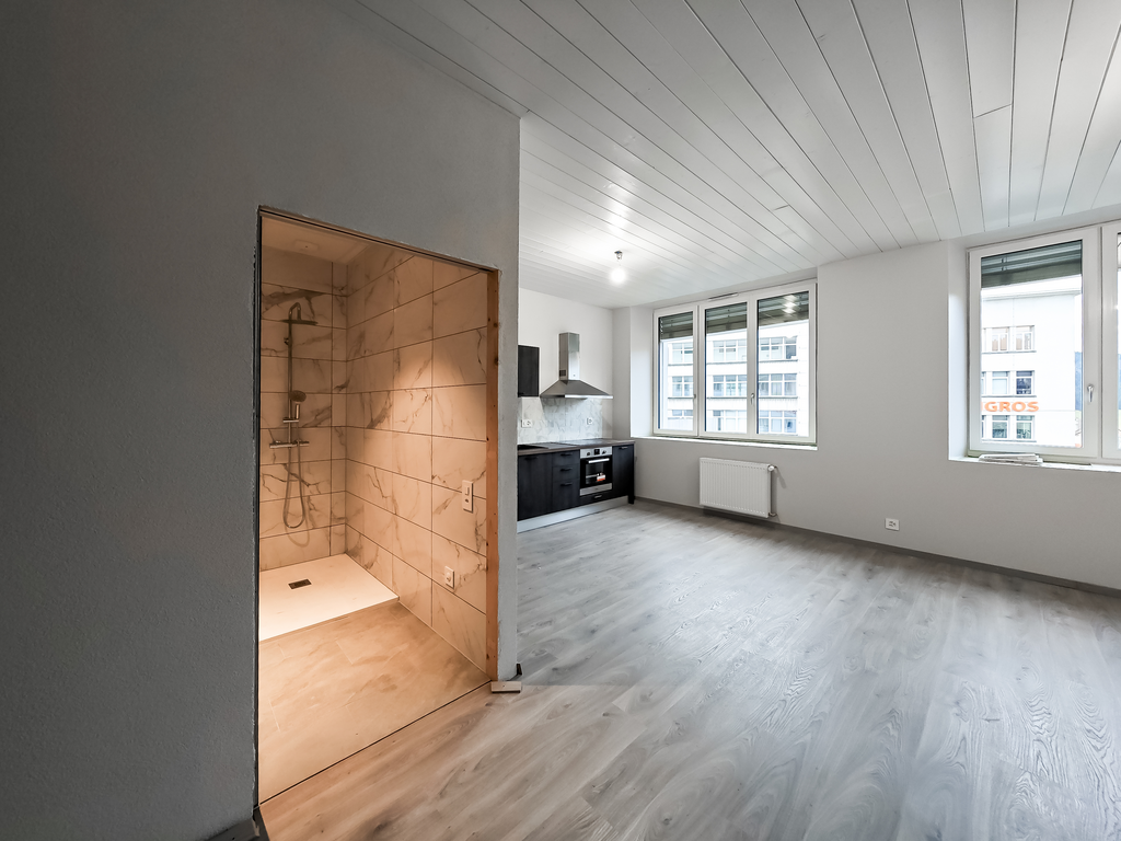 3 ½ rooms apartment, photo 6 sur 10