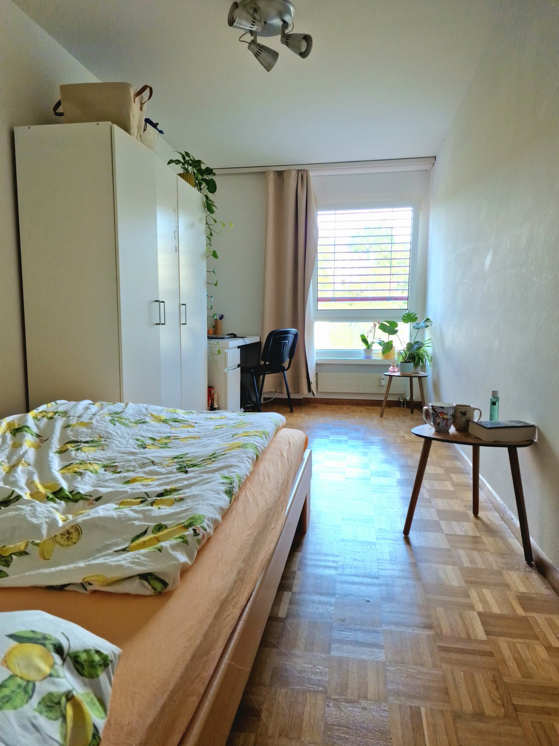 Chambre en colocation