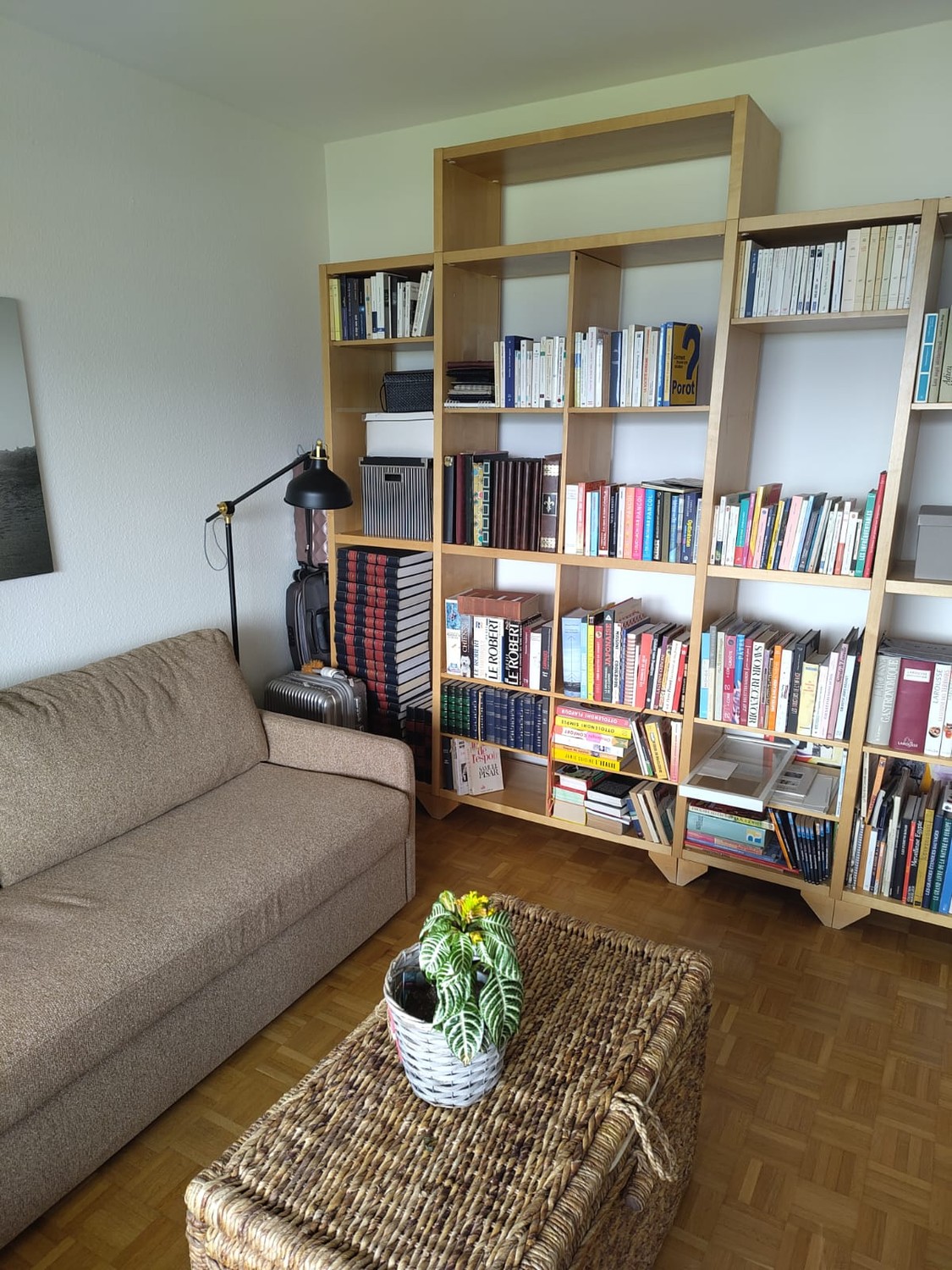 Room in a shared flat