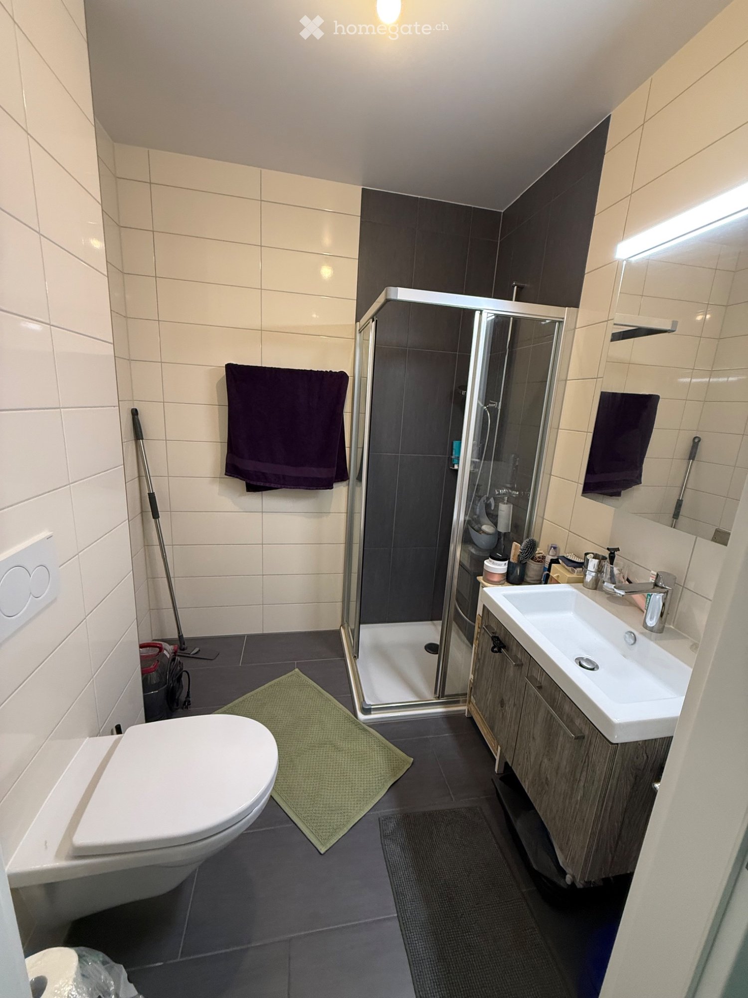 1 ½ rooms apartment, photo 4 sur 5