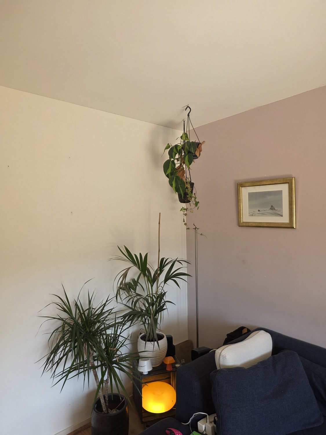 Chambre en colocation