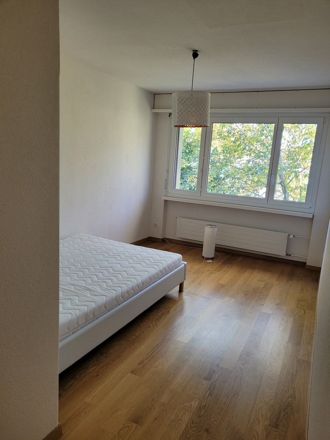 Chambre en colocation