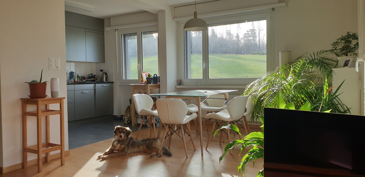 Chambre en colocation