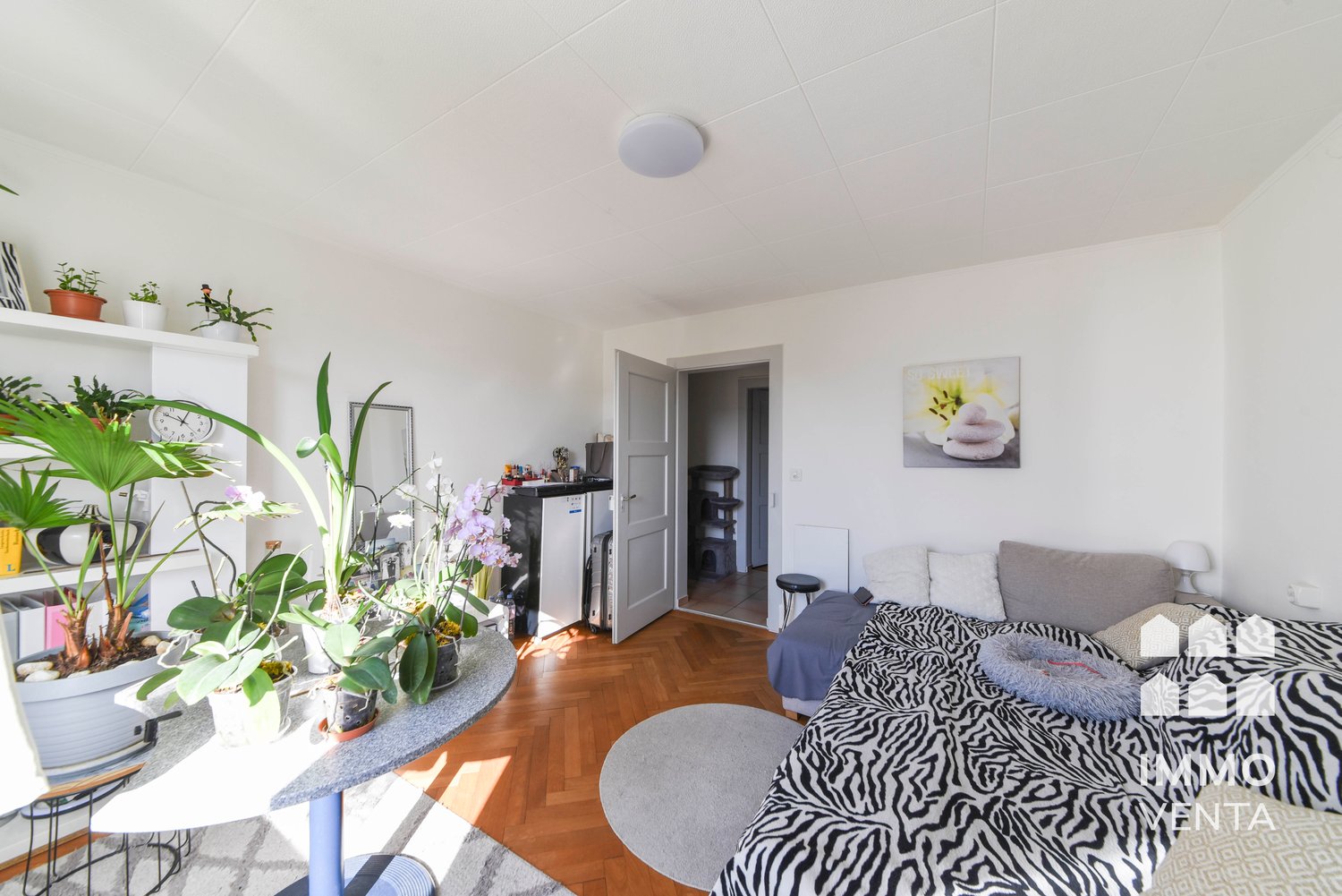 Appartement de 3 ½ pièces