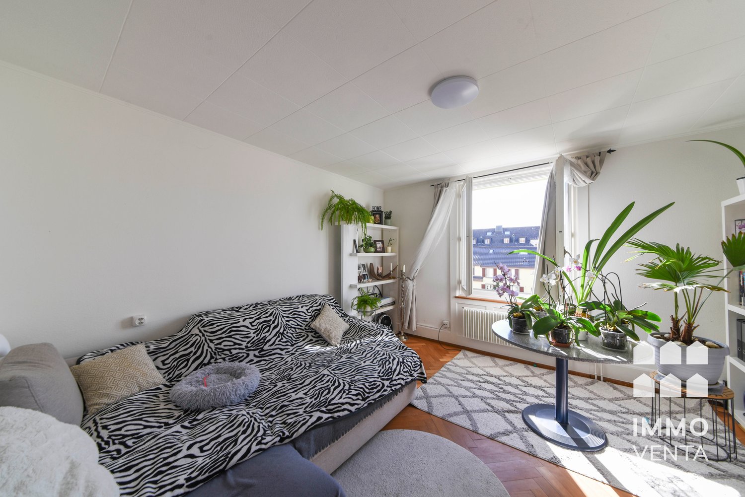 Appartement de 3 ½ pièces