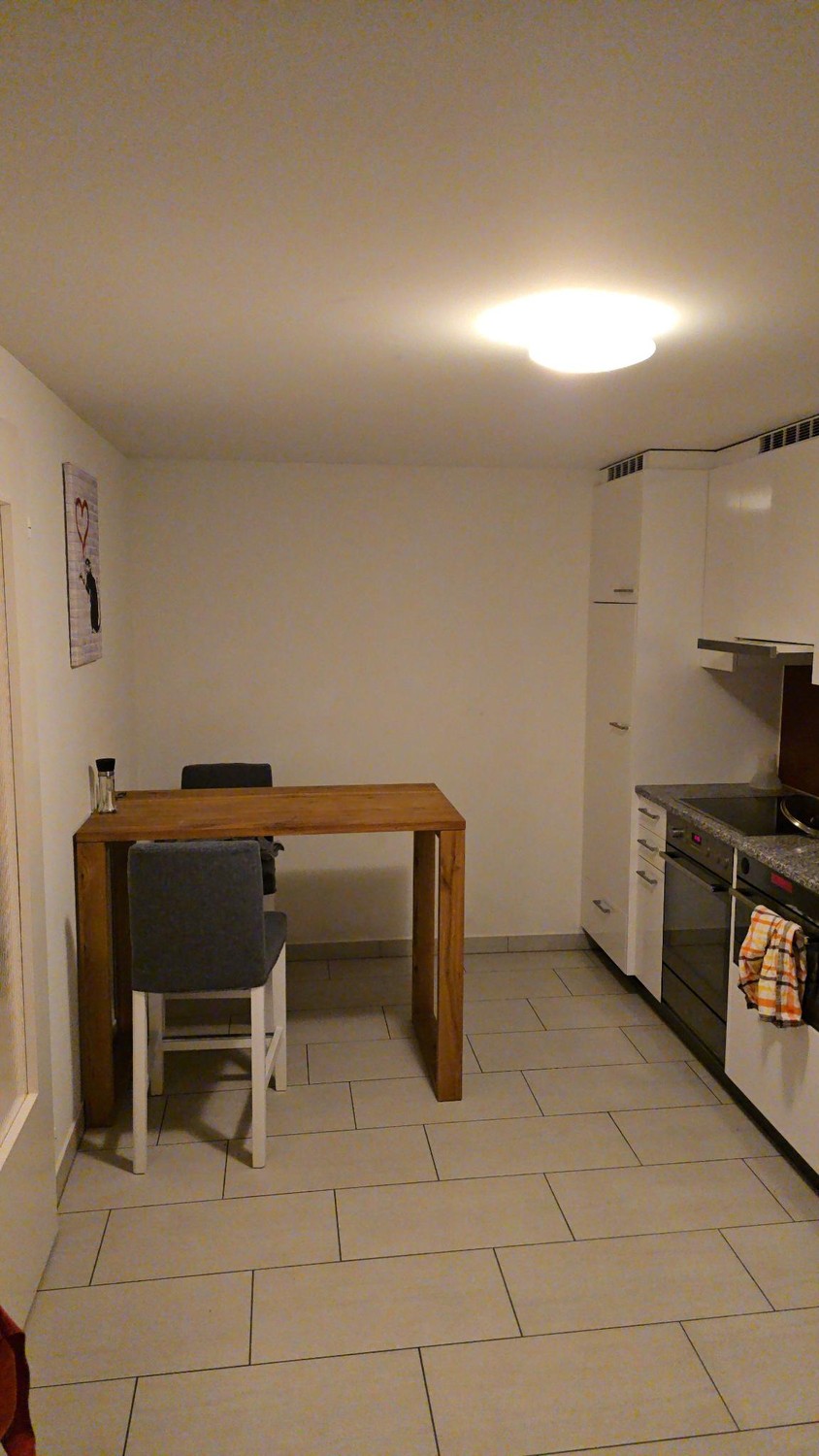 Appartement de 3 ½ pièces