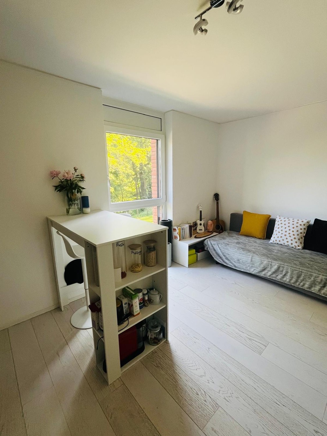 2 rooms apartment
