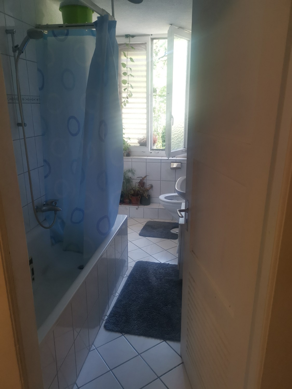 Appartement de 2 ½ pièces