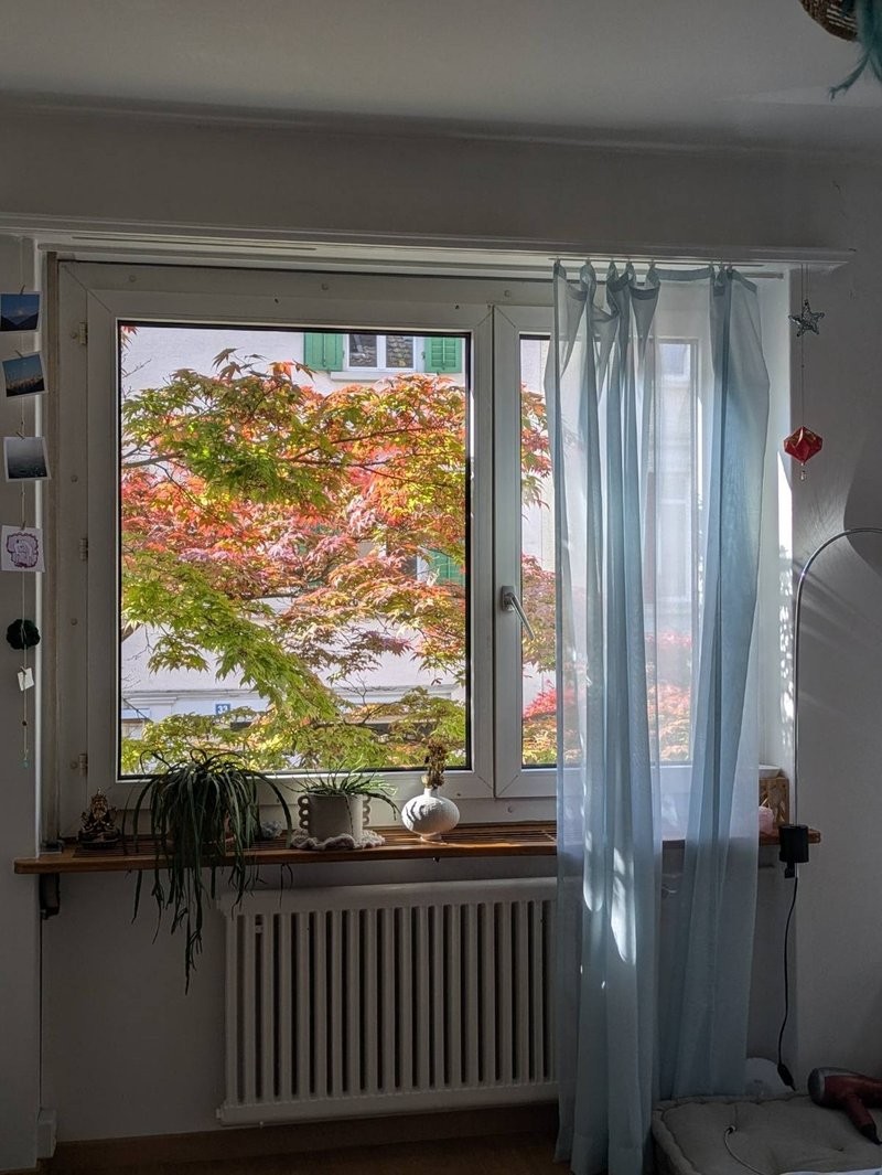 Chambre dans une colocation, photo 5 sur 10