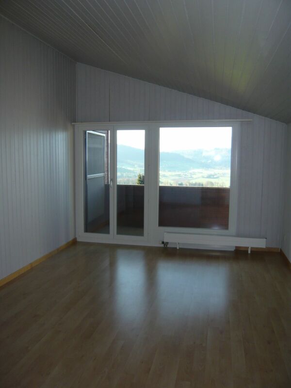 Appartement sous les toits de 2 pièces, photo 2 sur 5