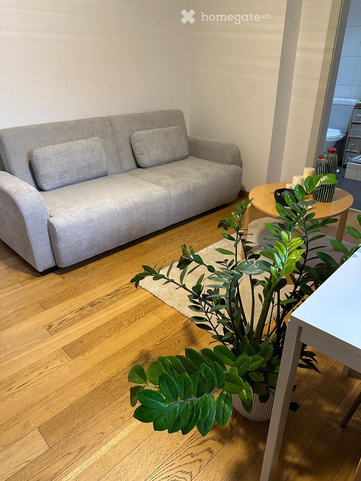 2 ½ rooms apartment
