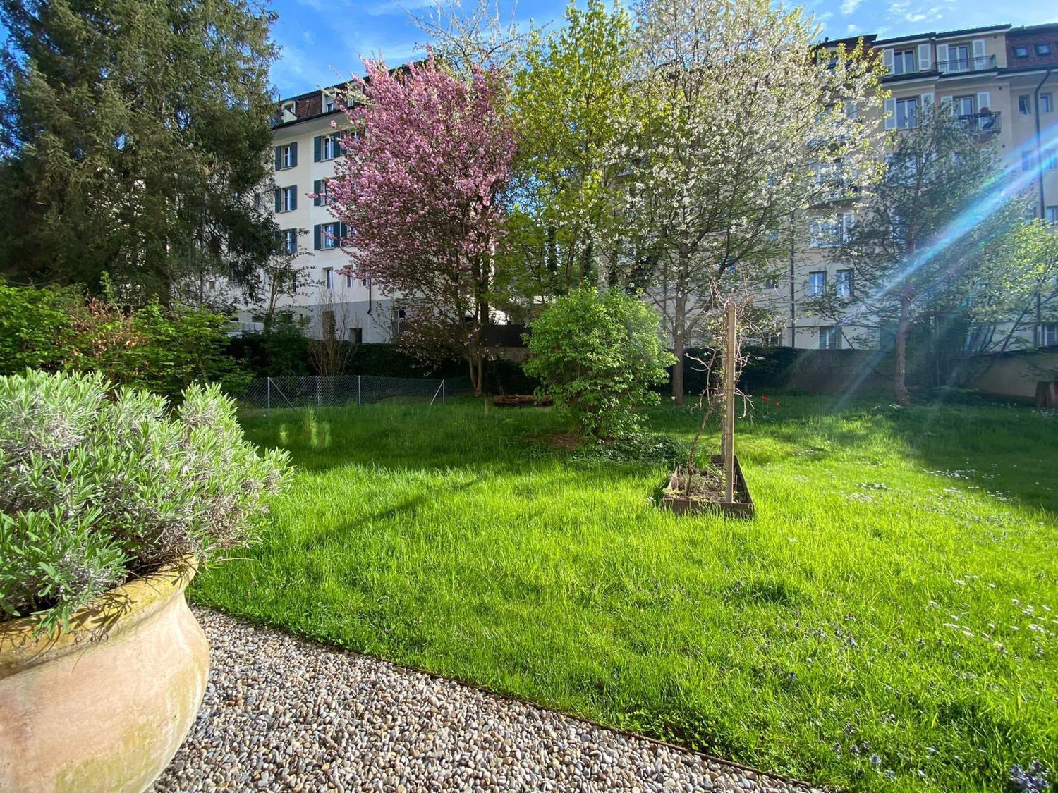 Appartement meublé de 3 ½ pièces, photo 1 sur 7