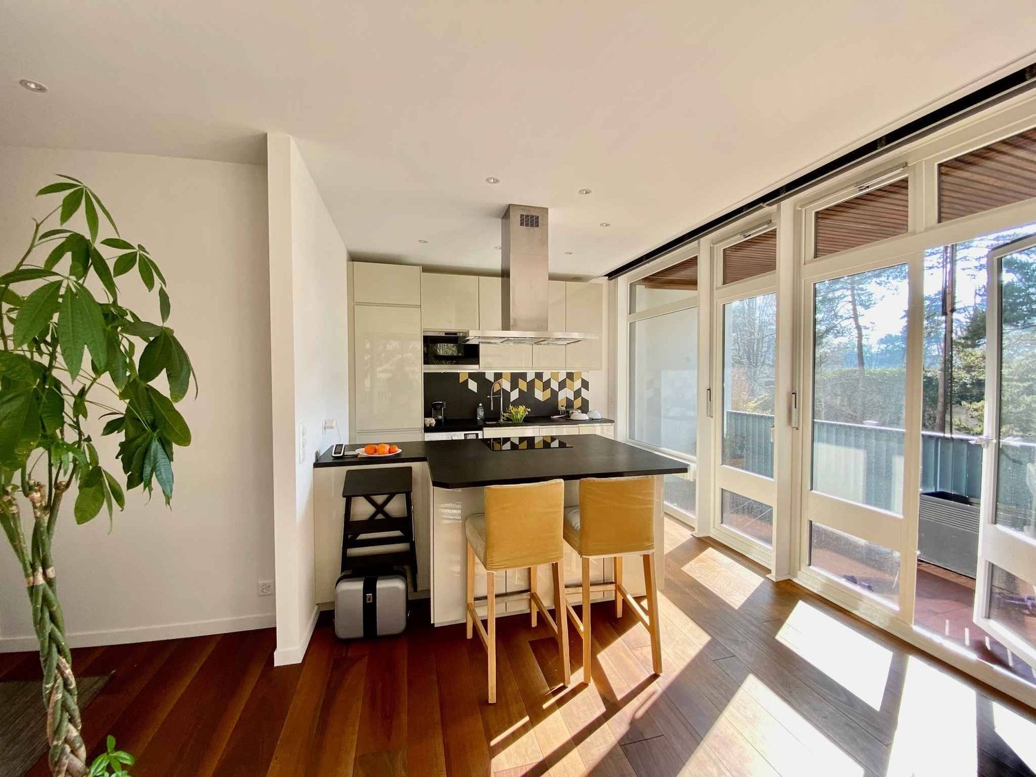 1 ½ rooms furnished flat, photo 4 sur 7
