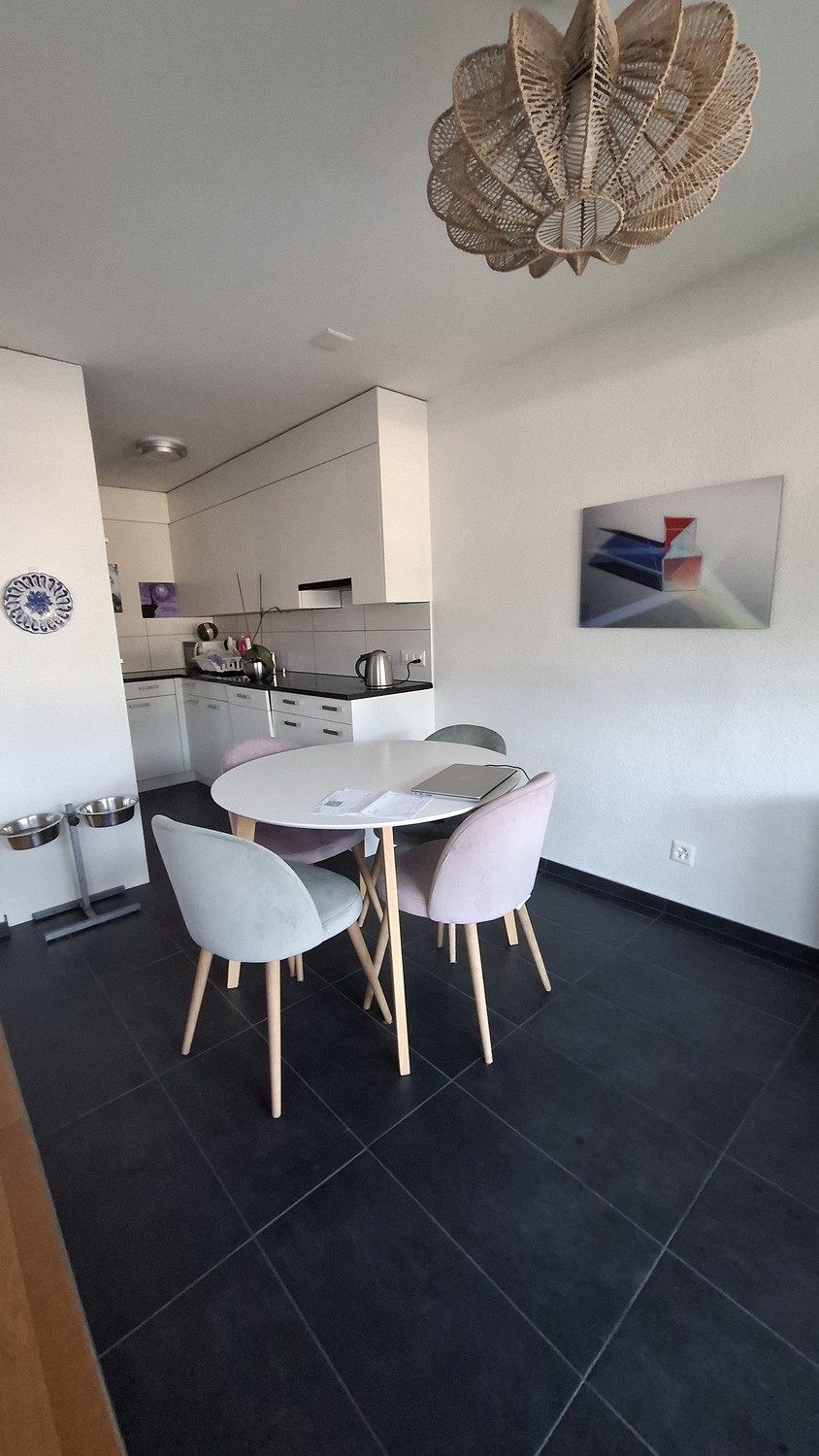 Appartement de 3 ½ pièces
