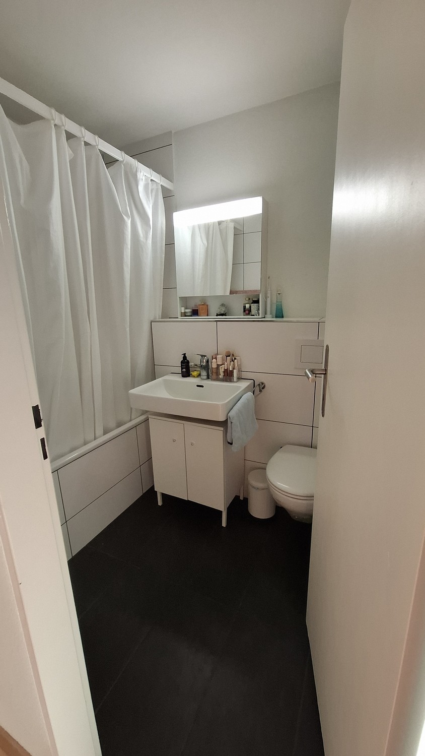 Appartement de 3 ½ pièces