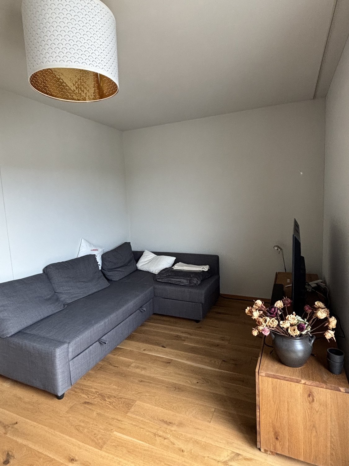 3 ½ rooms furnished flat