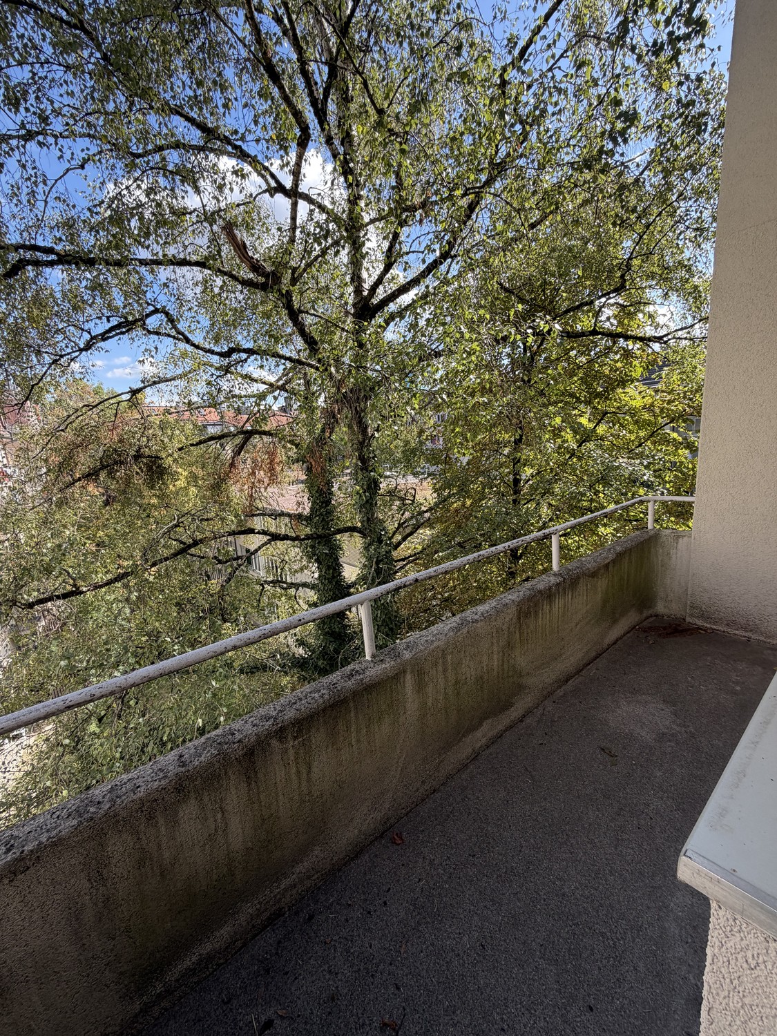 Appartement de 3 ½ pièces, photo 3 sur 10
