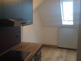 2 ½ rooms apartment, photo 5 sur 5